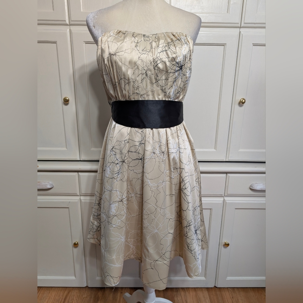 The Limited Strapless Dress Sz 10